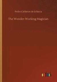 bokomslag The Wonder-Working Magician