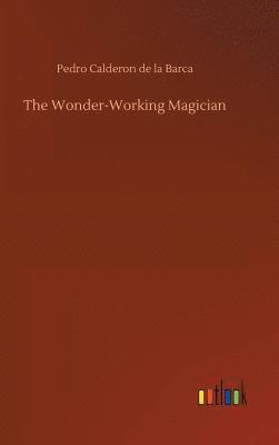 bokomslag The Wonder-Working Magician
