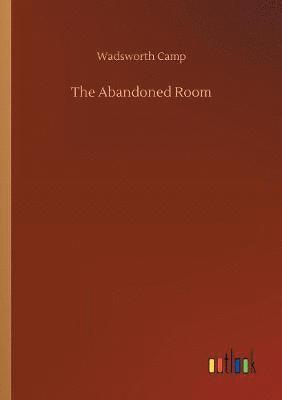 bokomslag Abandoned Room