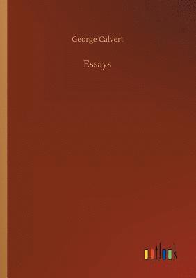 bokomslag Essays