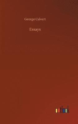 bokomslag Essays