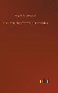 bokomslag Exemplary Novels of Cervantes