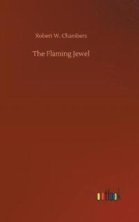 bokomslag Flaming Jewel