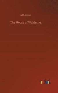 bokomslag House of Walderne