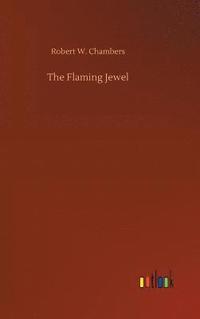 bokomslag Flaming Jewel