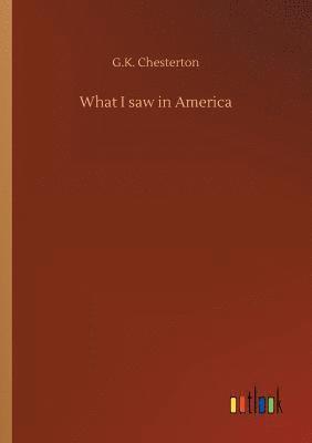 bokomslag What I saw in America