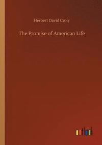 bokomslag The Promise of American Life