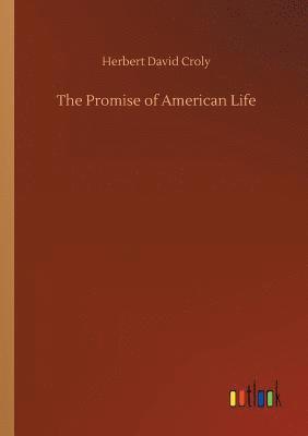 bokomslag The Promise of American Life