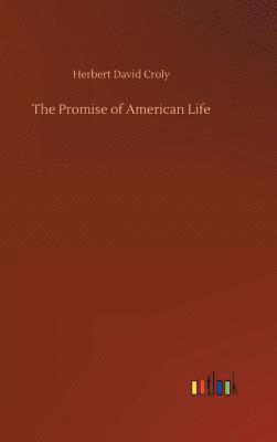 bokomslag The Promise of American Life