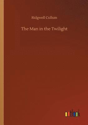 bokomslag The Man in the Twilight