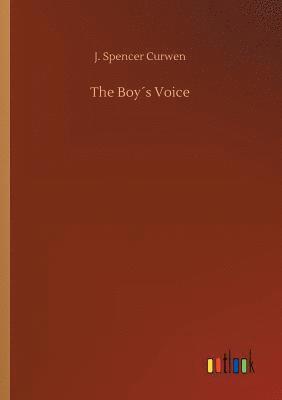 bokomslag Boy¿s Voice