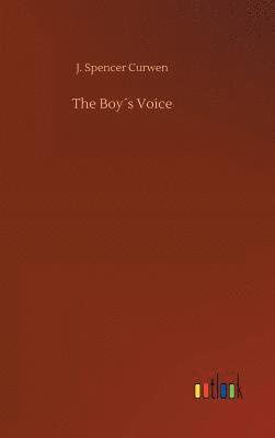 bokomslag Boy¿s Voice