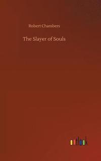 bokomslag The Slayer of Souls