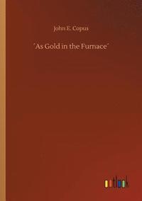 bokomslag As Gold in the Furnace