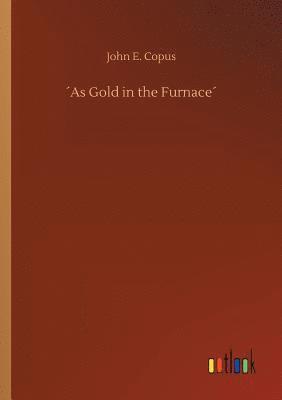 bokomslag As Gold in the Furnace