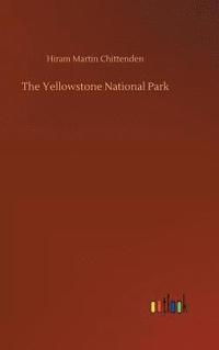 bokomslag Yellowstone National Park