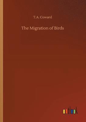Migration of Birds