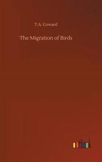 bokomslag Migration of Birds