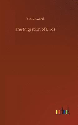 bokomslag Migration of Birds