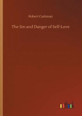 bokomslag The Sin and Danger of Self-Love