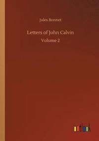 bokomslag Letters of John Calvin