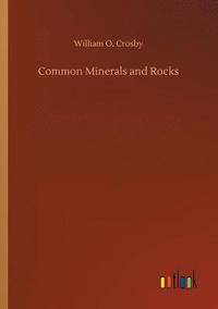 bokomslag Common Minerals and Rocks