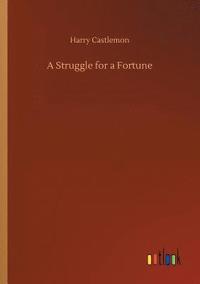 bokomslag Struggle for a Fortune