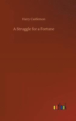 bokomslag Struggle for a Fortune