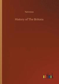 bokomslag History of The Britons