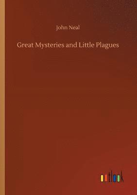 bokomslag Great Mysteries and Little Plagues