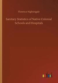 bokomslag Sanitary Statistics of Native Colonial Schools and Hospitals