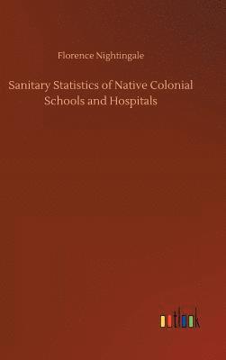 bokomslag Sanitary Statistics of Native Colonial Schools and Hospitals