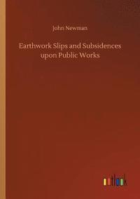 bokomslag Earthwork Slips and Subsidences upon Public Works
