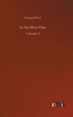 bokomslag In the Blue Pike