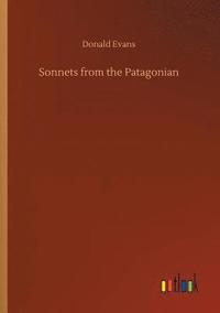 bokomslag Sonnets from the Patagonian