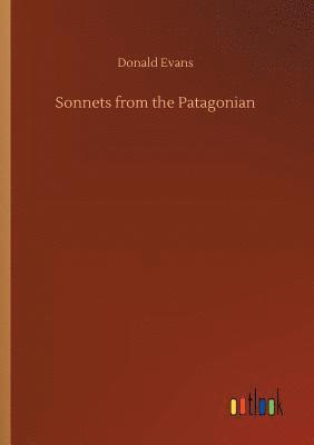 bokomslag Sonnets from the Patagonian