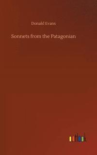 bokomslag Sonnets from the Patagonian