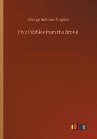 bokomslag Five Pebbles from the Brook