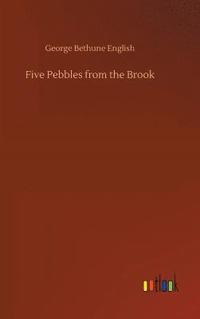 bokomslag Five Pebbles from the Brook