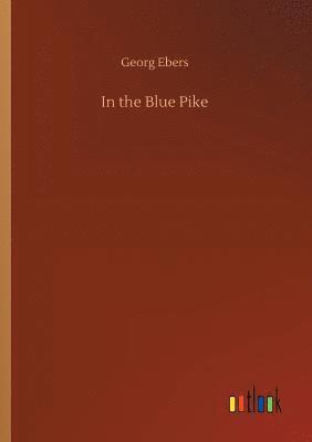 bokomslag In the Blue Pike