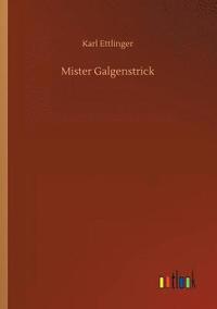 bokomslag Mister Galgenstrick