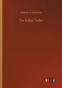 bokomslag Indian Today