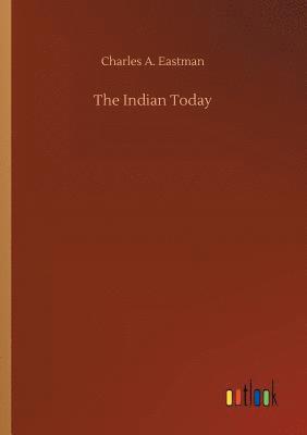 bokomslag Indian Today