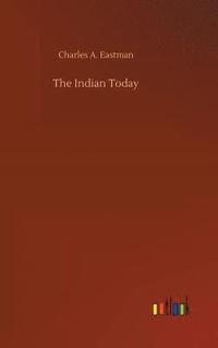 bokomslag Indian Today