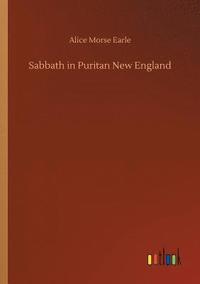 bokomslag Sabbath in Puritan New England