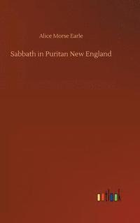 bokomslag Sabbath in Puritan New England