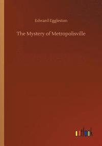 bokomslag Mystery of Metropolisville