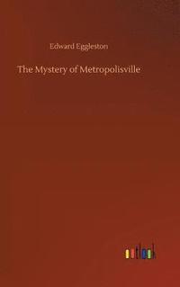 bokomslag Mystery of Metropolisville