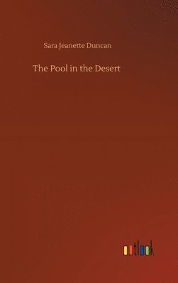 bokomslag Pool in the Desert