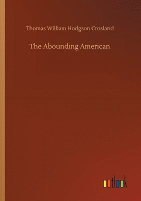 bokomslag The Abounding American